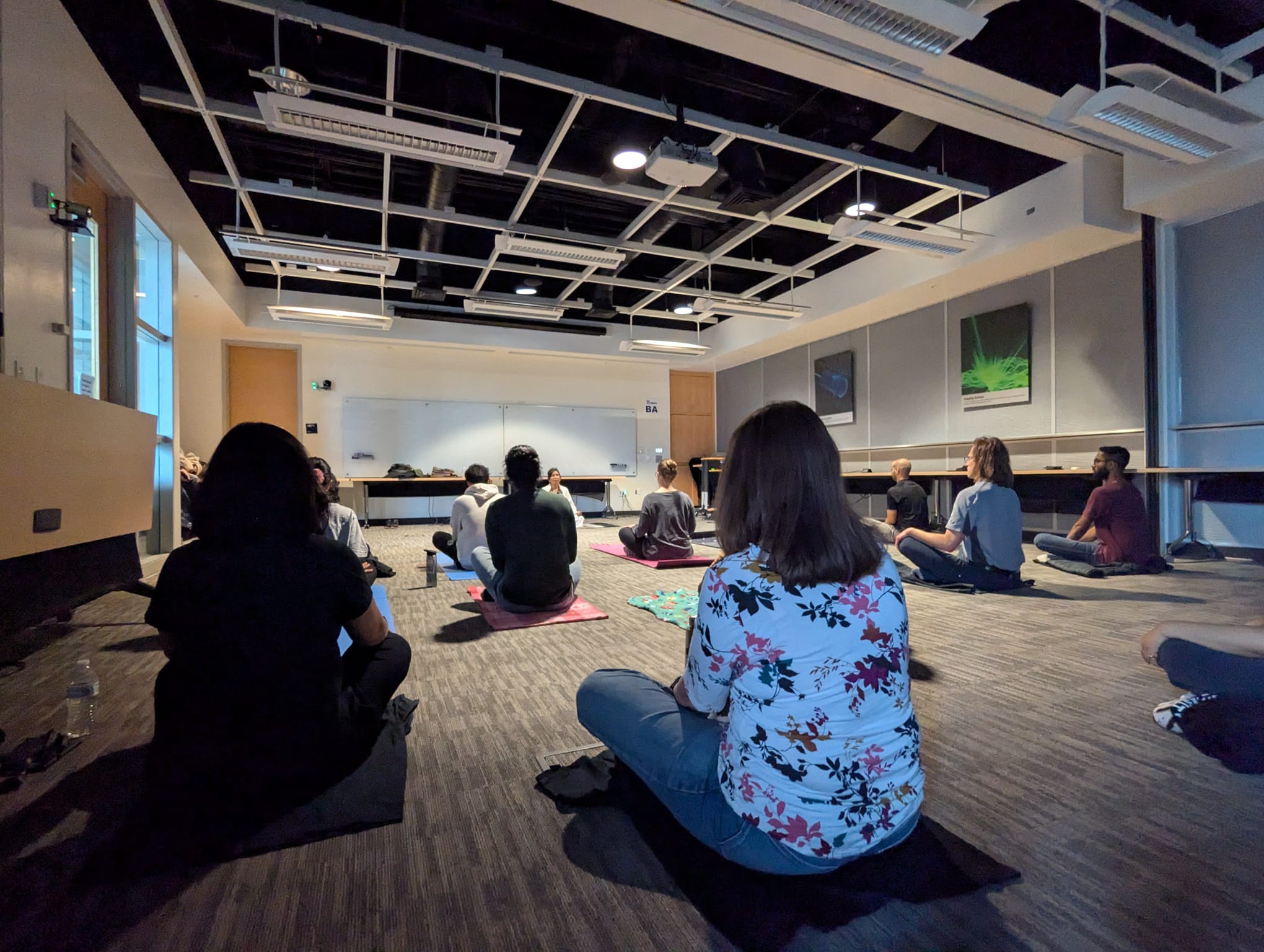 Wellness Breathing Session
